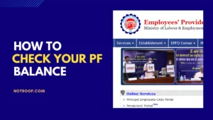 check your PF balance