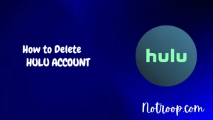 Delete Hulu Account