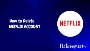 Delete Netflix Account