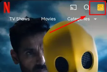 Delete Netflix Account