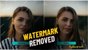 Remove Watermark From Photo